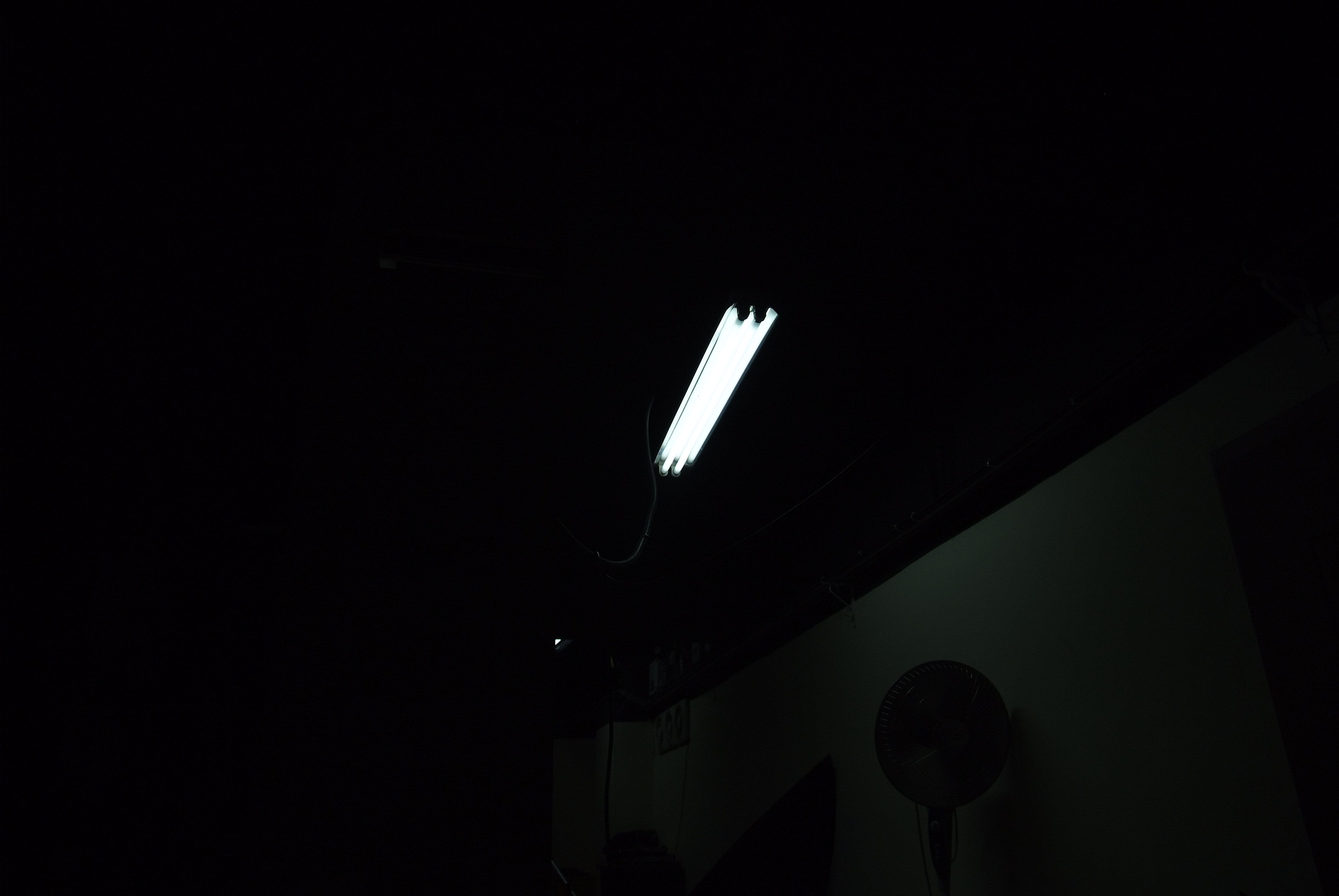 미분류 / 에스더 1215장 5.96GB (2009.06.14)